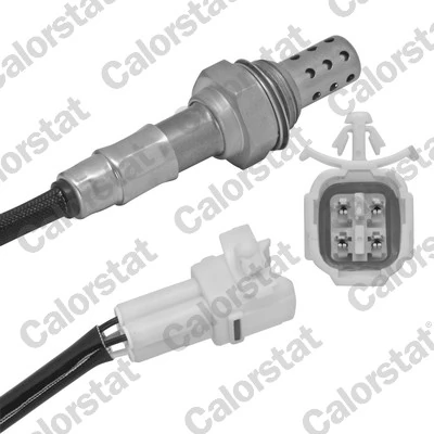 Oxygen Sensor